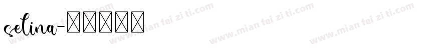 selina字体转换