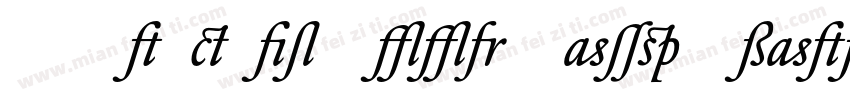 DTLElzevirTBookSwash-Italic字体转换