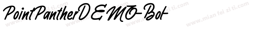 PointPantherDEMO-Bol字体转换