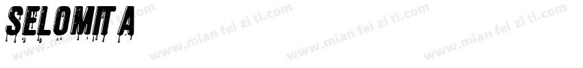 Selomita字体转换