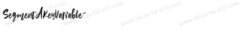 SegmentAKeyVariable字体转换