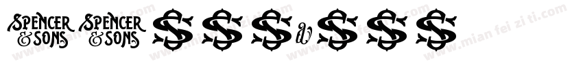 SJzhuanli字体转换