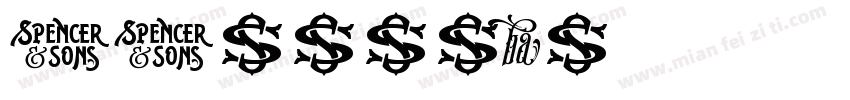 STxingbai字体转换