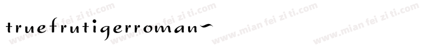 truefrutigerroman字体转换
