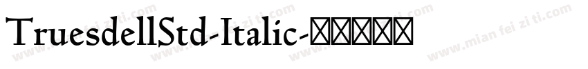 TruesdellStd-Italic字体转换
