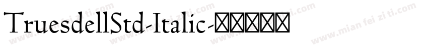 TruesdellStd-Italic字体转换