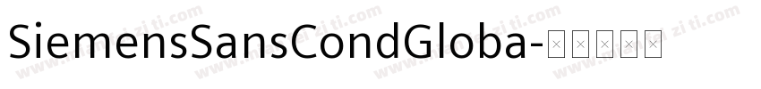 SiemensSansCondGloba字体转换