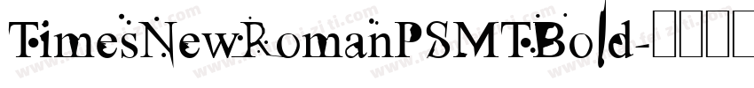 TimesNewRomanPSMTBold字体转换