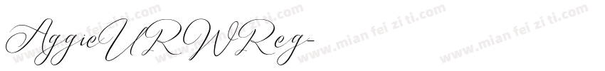 AggieURWReg字体转换