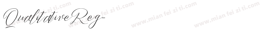 QualitativeReg字体转换
