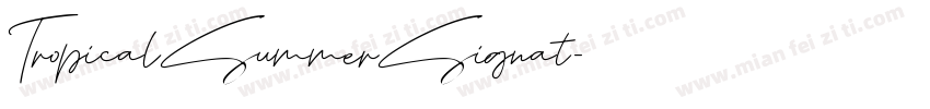 TropicalSummerSignat字体转换