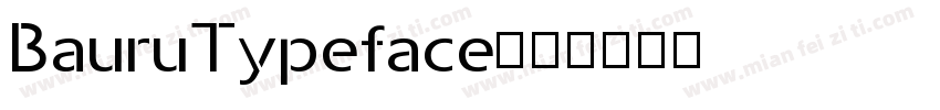 BauruTypeface字体转换