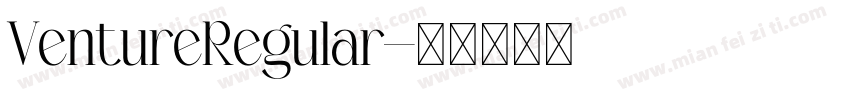 VentureRegular字体转换