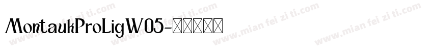 MontaukProLigW05字体转换