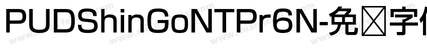 PUDShinGoNTPr6N字体转换