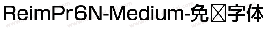 ReimPr6N-Medium字体转换