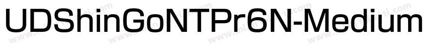 UDShinGoNTPr6N-Medium字体转换