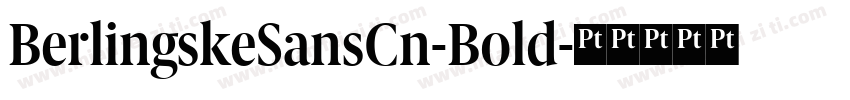 BerlingskeSansCn-Bold字体转换
