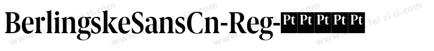 BerlingskeSansCn-Reg字体转换