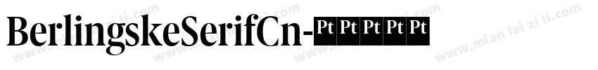 BerlingskeSerifCn字体转换