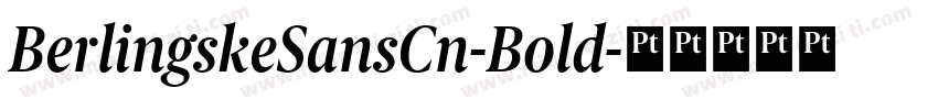 BerlingskeSansCn-Bold字体转换