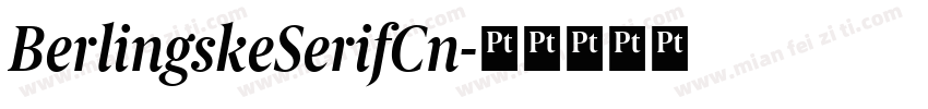 BerlingskeSerifCn字体转换