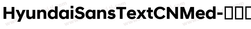 HyundaiSansTextCNMed字体转换