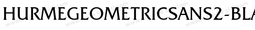HURMEGEOMETRICSANS2-BLAC字体转换