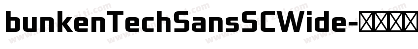 bunkenTechSansSCWide字体转换