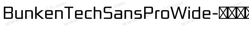 BunkenTechSansProWide字体转换