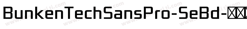 BunkenTechSansPro-SeBd字体转换