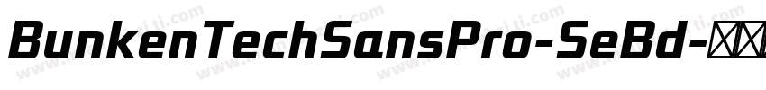 BunkenTechSansPro-SeBd字体转换