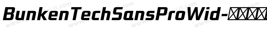 BunkenTechSansProWid字体转换