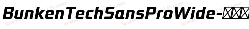 BunkenTechSansProWide字体转换