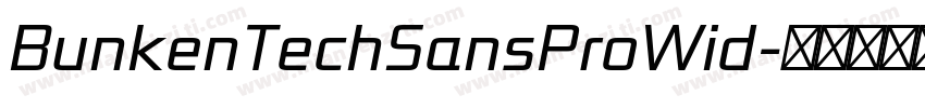 BunkenTechSansProWid字体转换