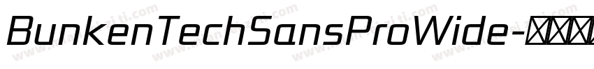 BunkenTechSansProWide字体转换