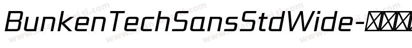 BunkenTechSansStdWide字体转换