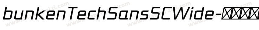 bunkenTechSansSCWide字体转换