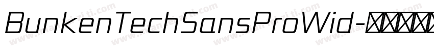 BunkenTechSansProWid字体转换