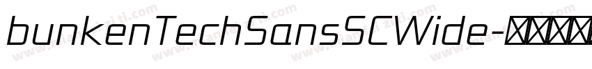 bunkenTechSansSCWide字体转换