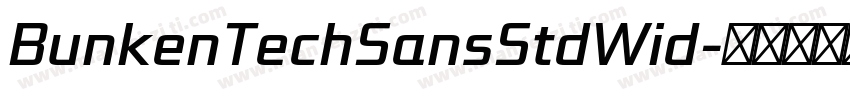 BunkenTechSansStdWid字体转换