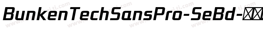 BunkenTechSansPro-SeBd字体转换