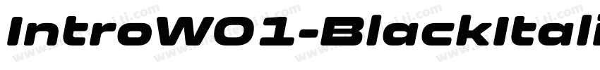 IntroW01-BlackItalic字体转换