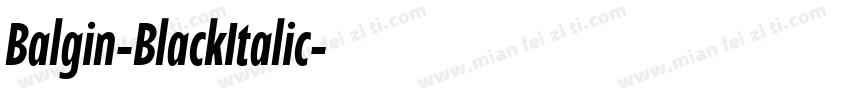 Balgin-BlackItalic字体转换