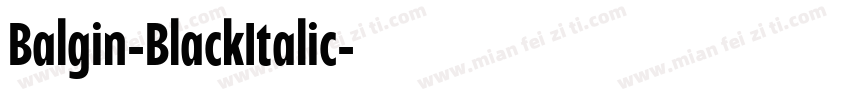 Balgin-BlackItalic字体转换