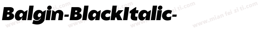 Balgin-BlackItalic字体转换