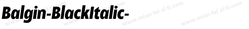 Balgin-BlackItalic字体转换