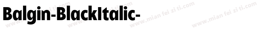 Balgin-BlackItalic字体转换