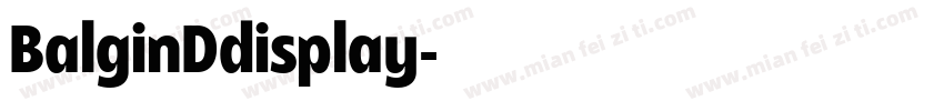 BalginDdisplay字体转换