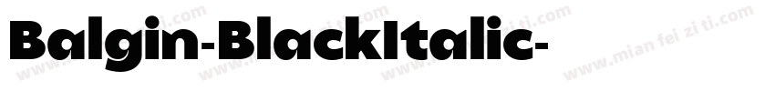 Balgin-BlackItalic字体转换